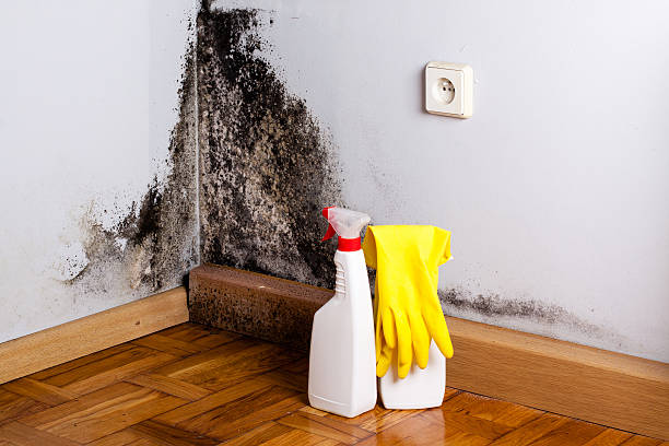 Professional Water damage restoration in West Falmouth, MA